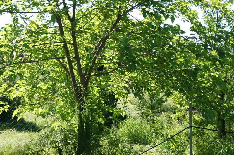 Complejo Rural El Prado Otel Logrosán Dış mekan fotoğraf